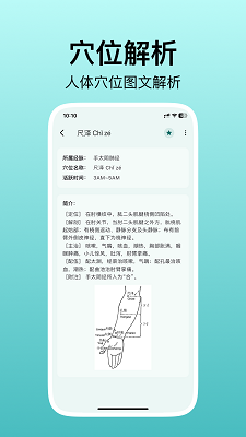 人体穴位图解 v3.1.0
