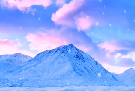 鸭梨壁纸宝app安卓版 鸭梨壁纸宝app安卓版