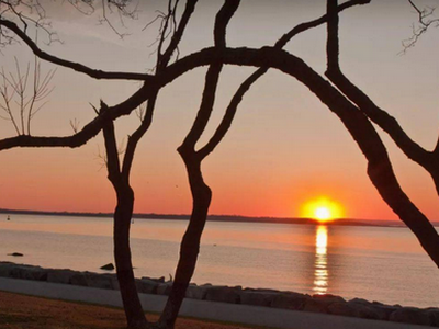 完美原相机app安卓版