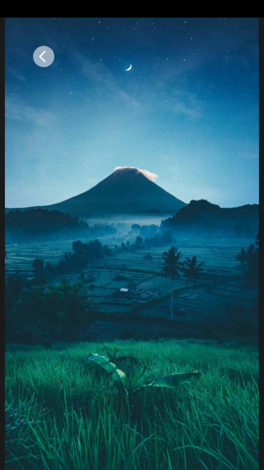 美化精灵app v1.0