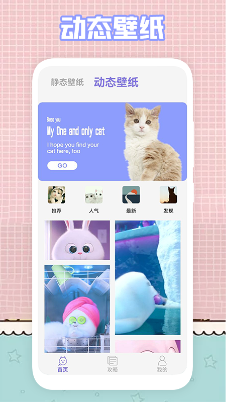 我的猫咪app v1.1