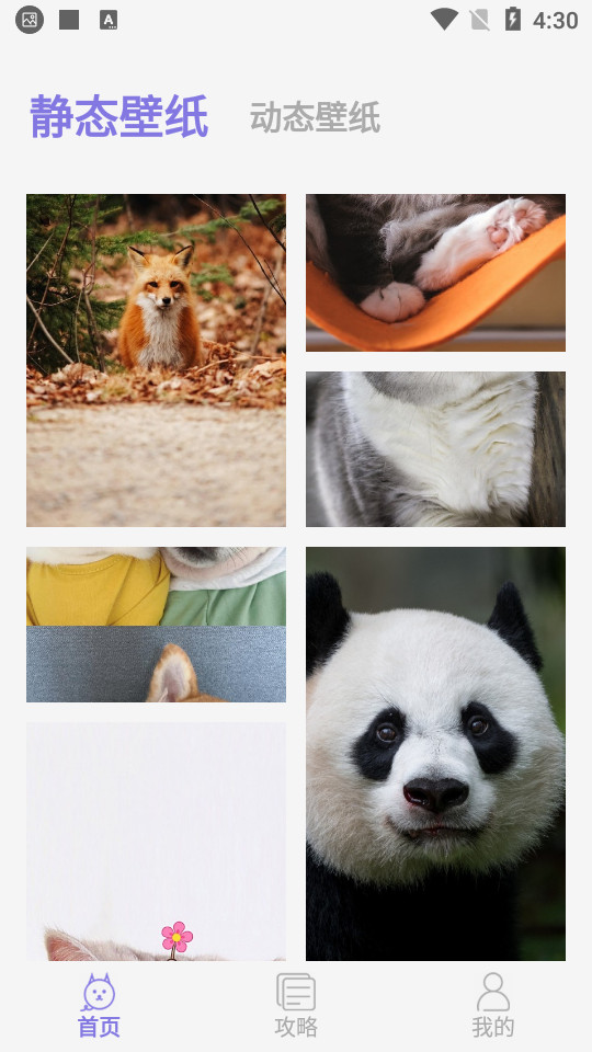 全自动壁纸app v1.0.1