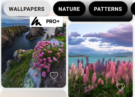 Walpy壁纸汉化版pro会员版