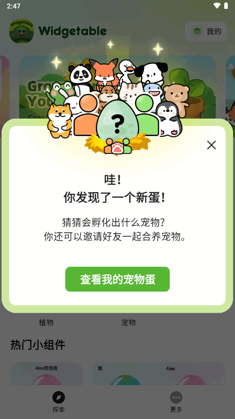 情侣宠物小组件专业版(Widgetable pro)