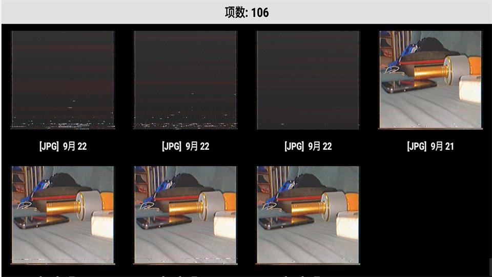 Rarevision汉化版 v1.7.0