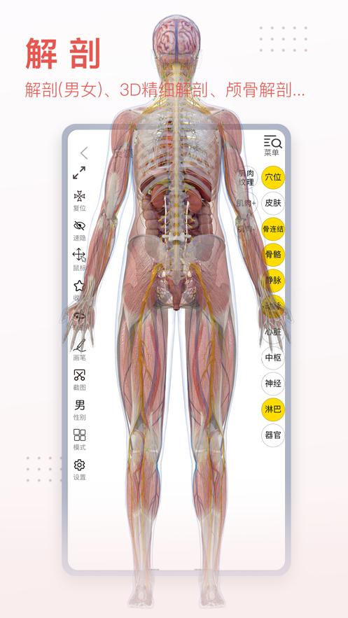 3Dbody解剖app v8.8.83