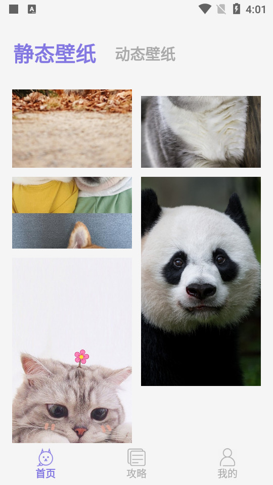 可爱喵喵壁纸大全 v1.0