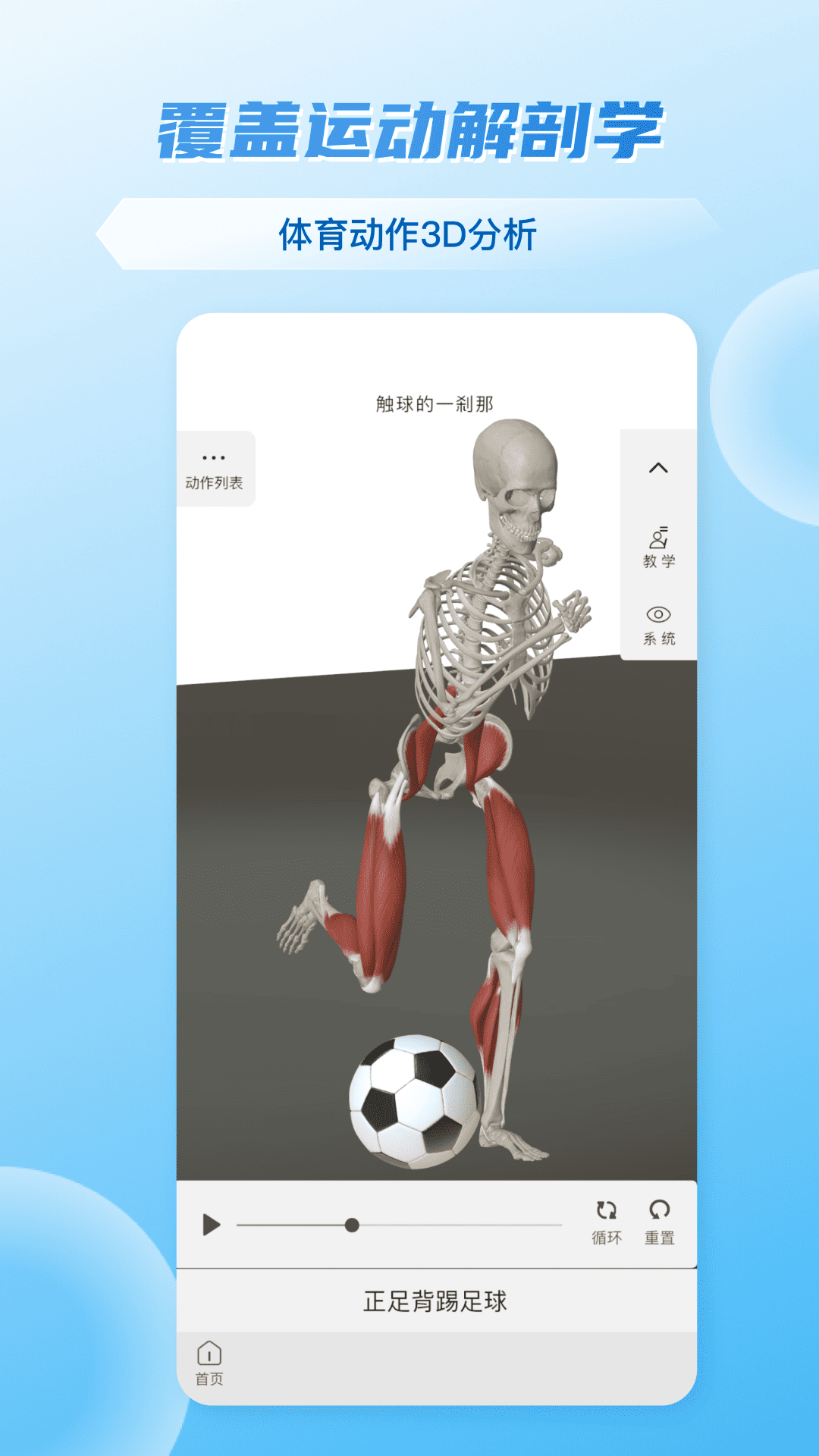 维萨里3d解剖app v6.8.2