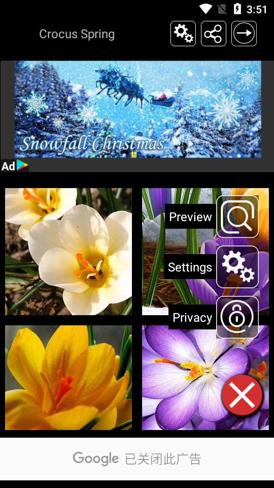 番红花之春壁纸手机版 v1.9