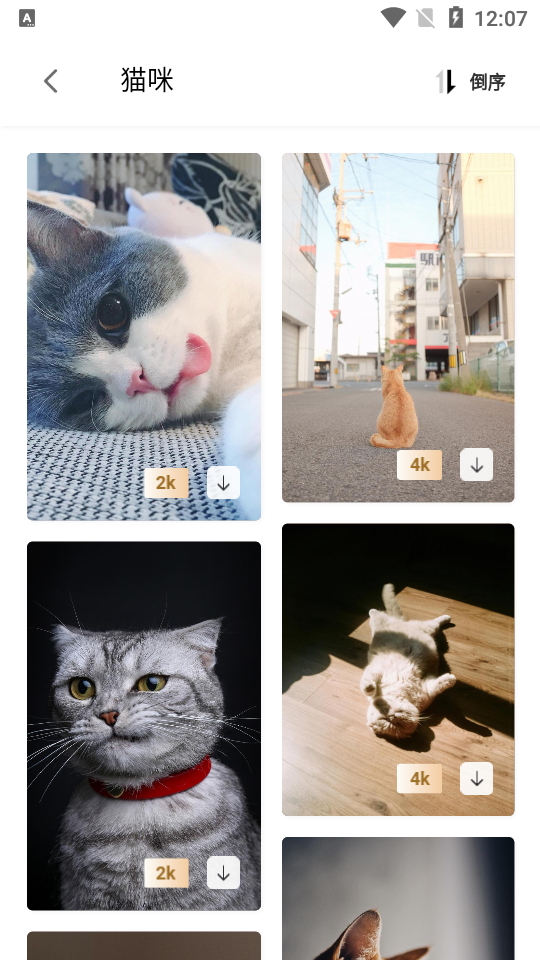 次元图库APP v1.0